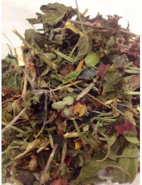 Tisane minceur