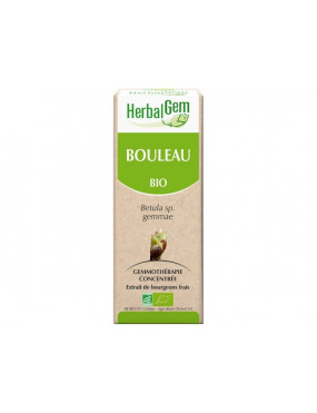 Bouleau "Herbalgem"