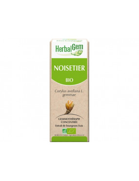 Noisetier "HerbalGem"