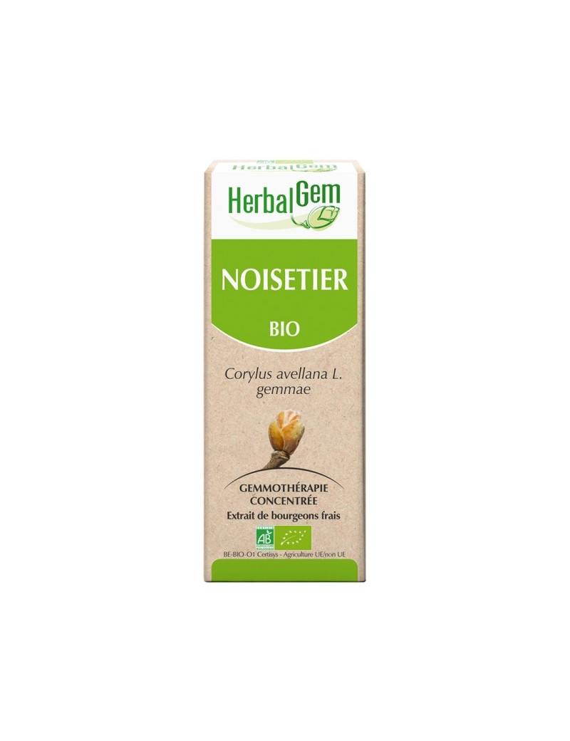 Noisetier "HerbalGem"