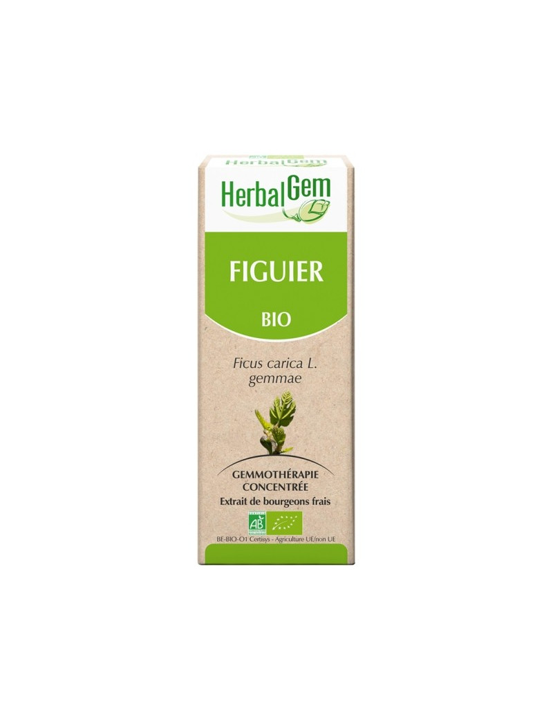 Figuier "Herbalgem"