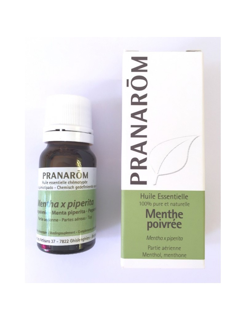 Huile essentielle Menthe poivrée (Mentha x piperita) - Pranarôm