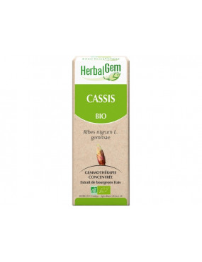 Cassis "HerbalGem"