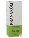 Tea Tree (arbre à thé)