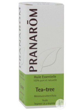 Tea Tree (arbre à thé)