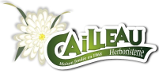 Caillaux